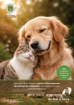 Registo e Licenciamento de C&atilde;es e Gatos
