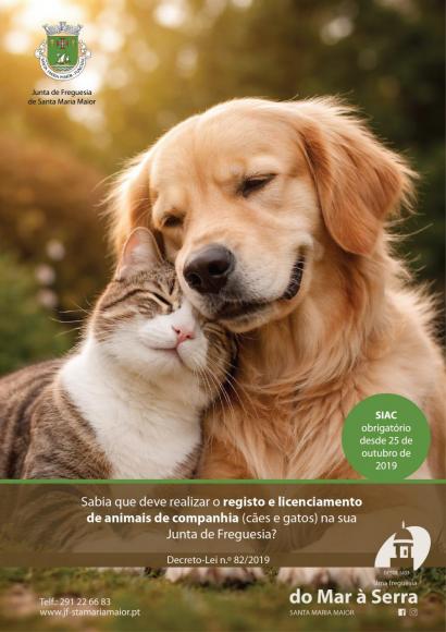 Registo e Licenciamento de C&atilde;es e Gatos