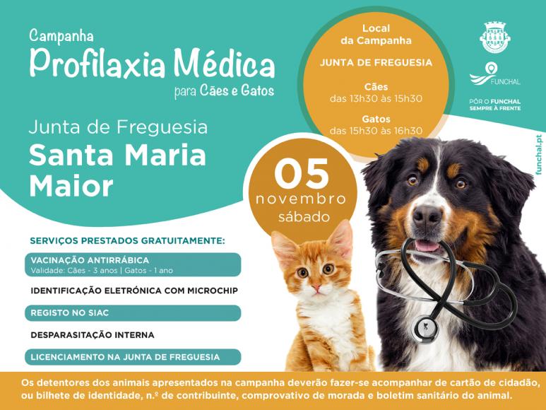 Campanha de Profilaxia M&eacute;dica
