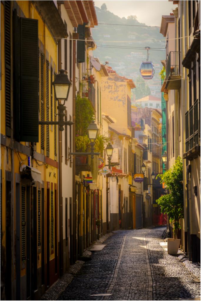 1.º Classificado: João da Silva, ao trabalho intitulado “Um novo dia”